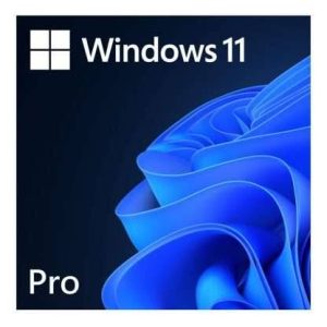 Windows 11 Pro